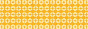 BIZF24-Patternbanner